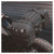 Foto: Legend Gear Tailbag, Lr 2 (48 Ltr) - thumbnail