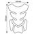 Foto: Pro-Tank X2 Carbon Tankpad - thumbnail