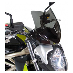 Foto: Sports Screen Aerosport Suzuki Gladius