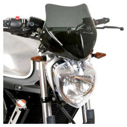 Foto: Sports Screen Aerosport Fz6 S2 Yamaha Fz6-s
