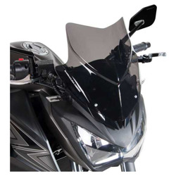 Foto: Sports Screen Aerosport Kawasaki Z300